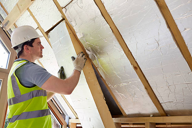 Best DIY Insulation Kits and Guidance in Roosevelt, NJ