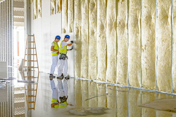 Professional Insulation Contractor in Roosevelt, NJ